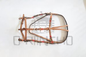 Cabeçada colorida fechada